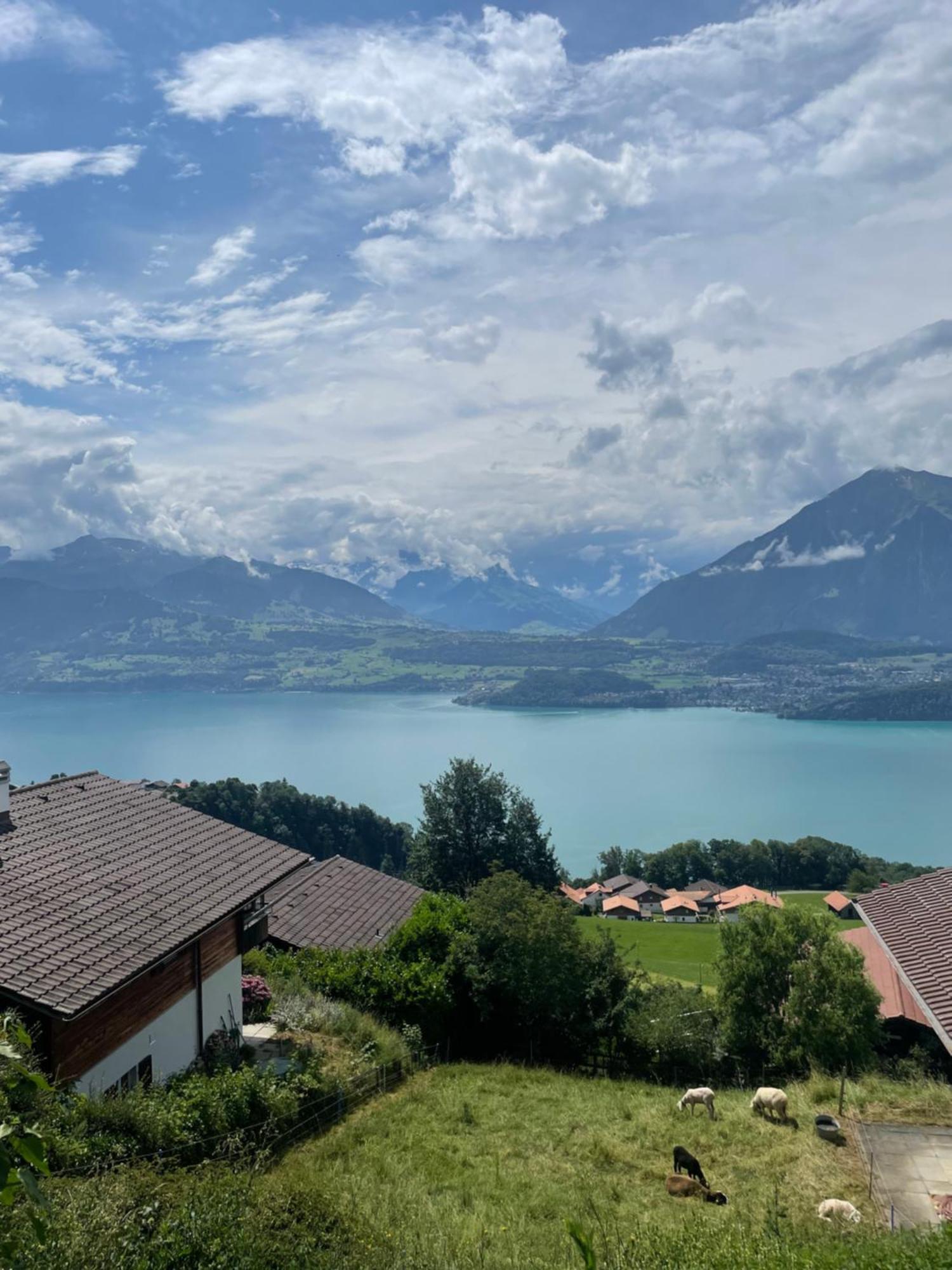 Seeblick Aeschlen Eksteriør bilde
